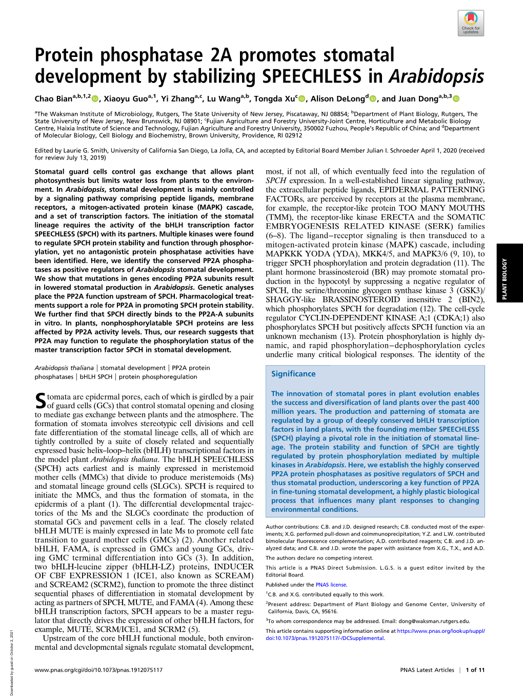 Protein Phosphatase 2A Promotes Stomatal Development by Stabilizing SPEECHLESS in Arabidopsis