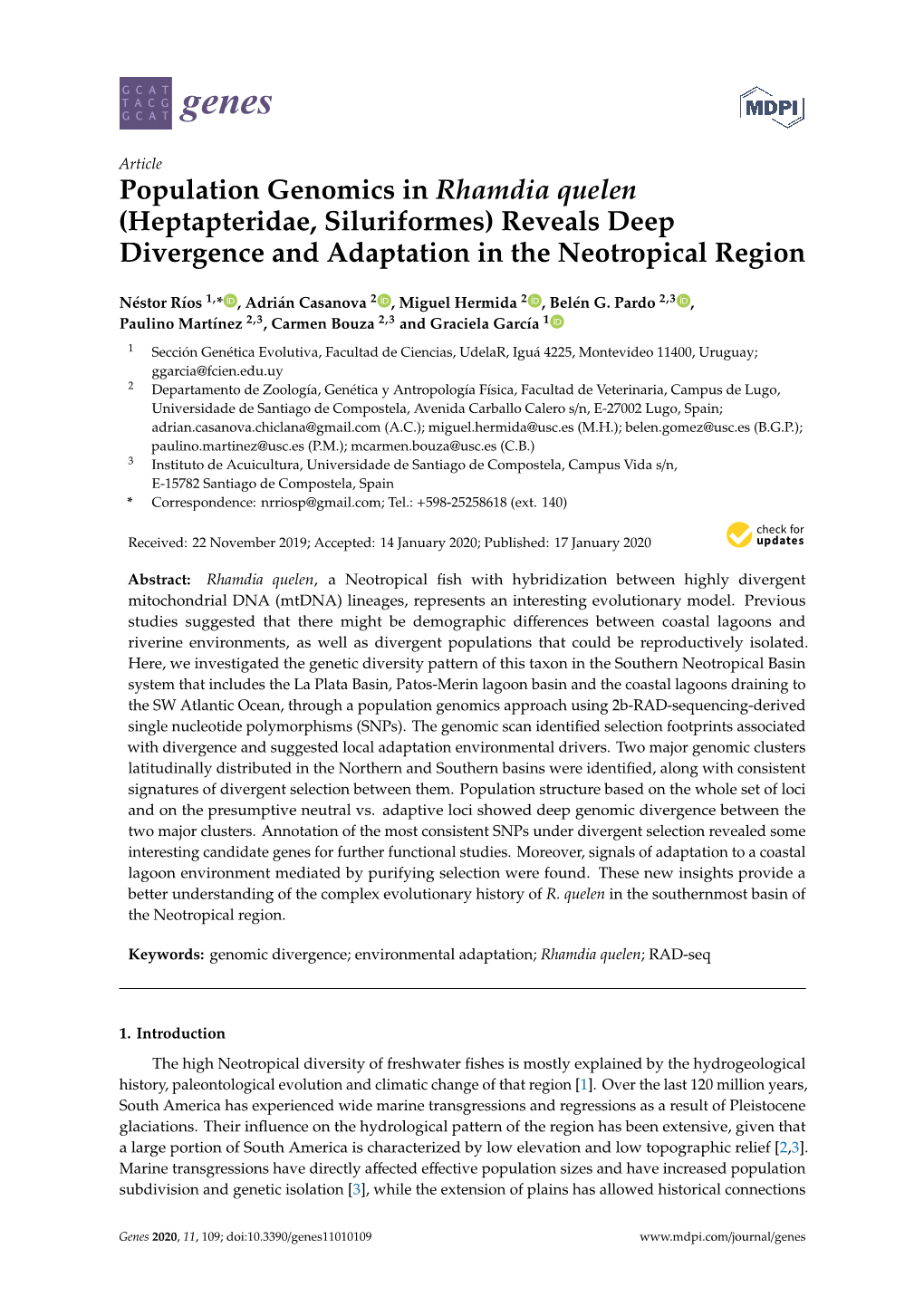 Population Genomics in Rhamdia Quelen (Heptapteridae, Siluriformes) Reveals Deep Divergence and Adaptation in the Neotropical Region