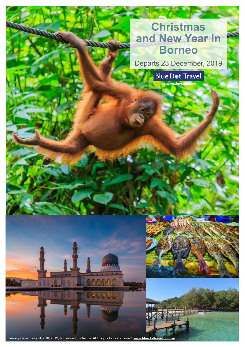 Christmas and New Year in Borneo Departs 23 December, 2019