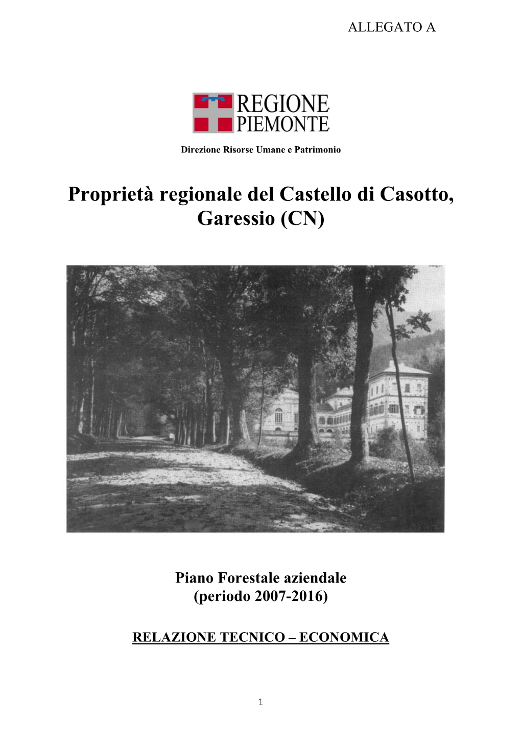 Proprietà Regionale Del Castello Di Casotto, Garessio (CN)