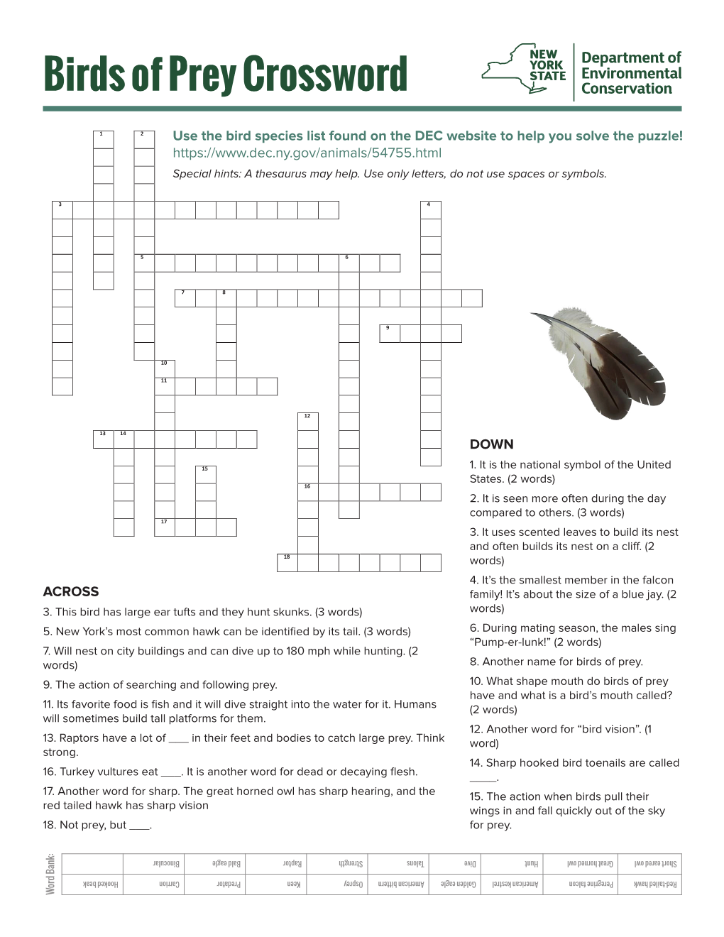 Birds of Prey Crossword