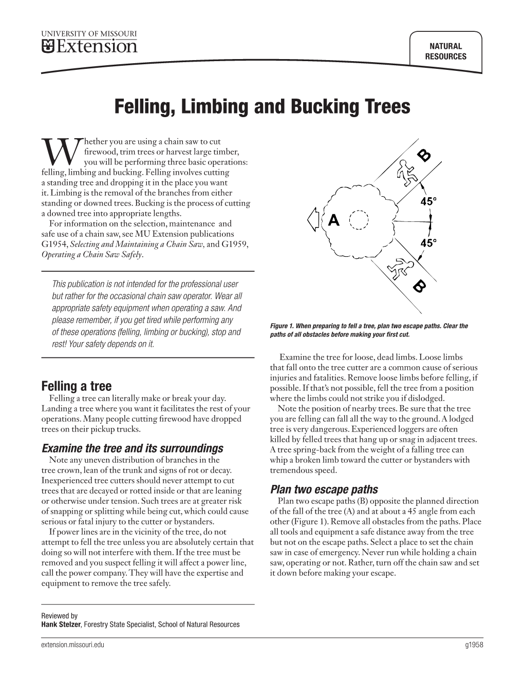 Felling, Limbing and Bucking Trees