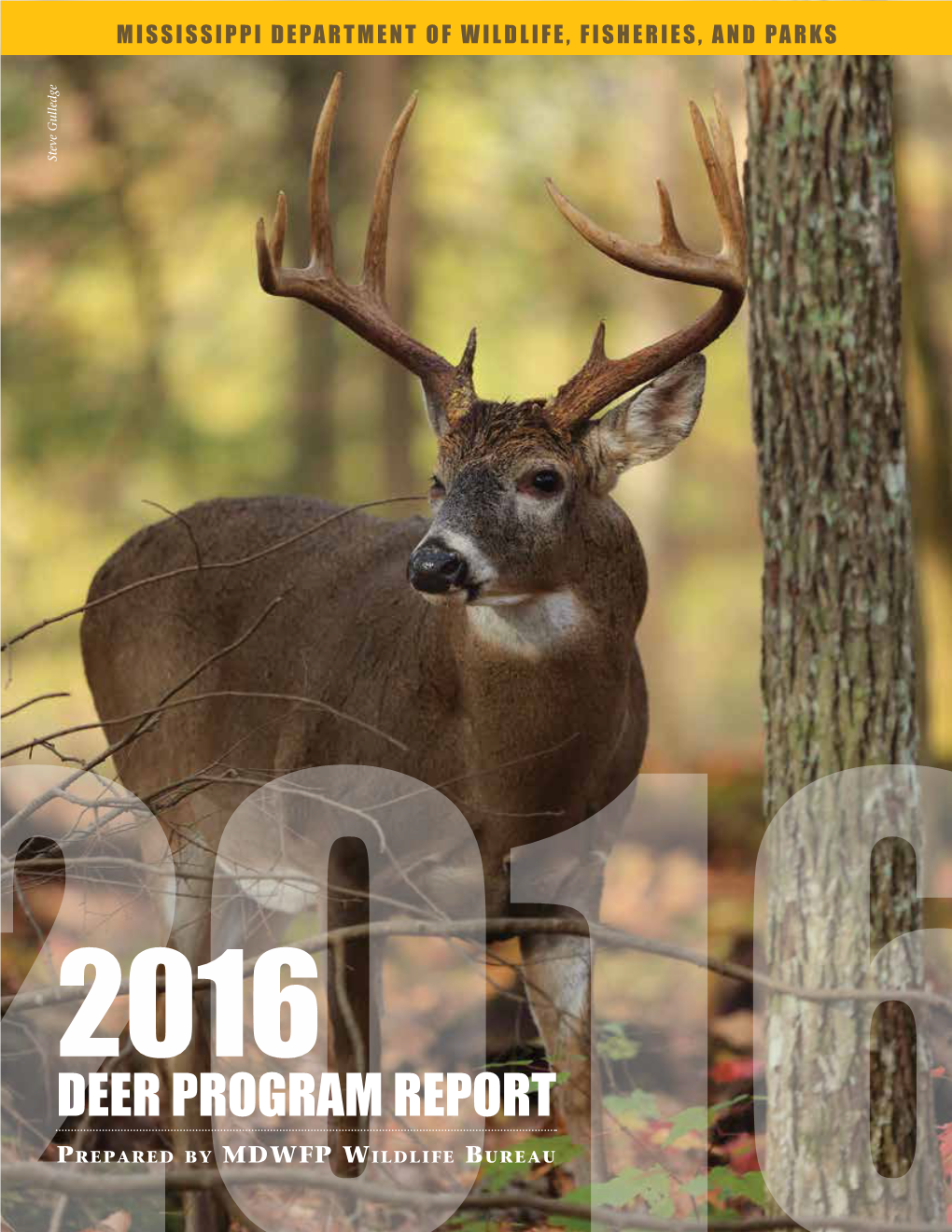 DEER PROGRAM REPORT Prepared by MDWFP Wildlife Bureau 20162015–2016 Mississippi Deer Program Report I 2015 Deer Program Report