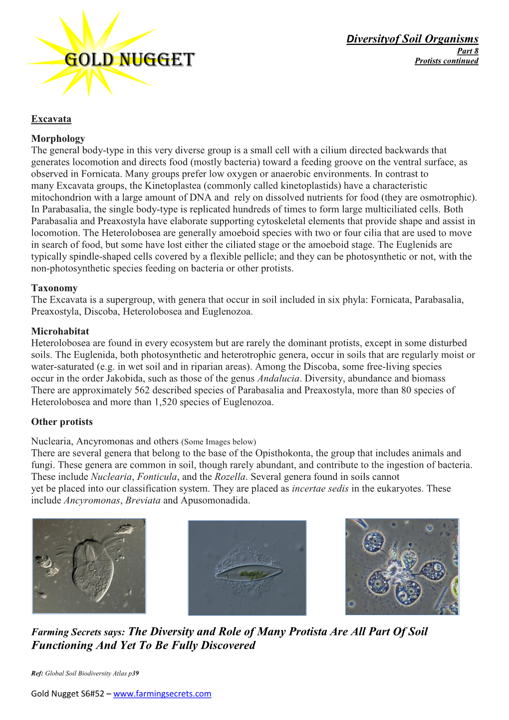 Diversityof Soil Organisms Farming Secrets Says: the Diversity And