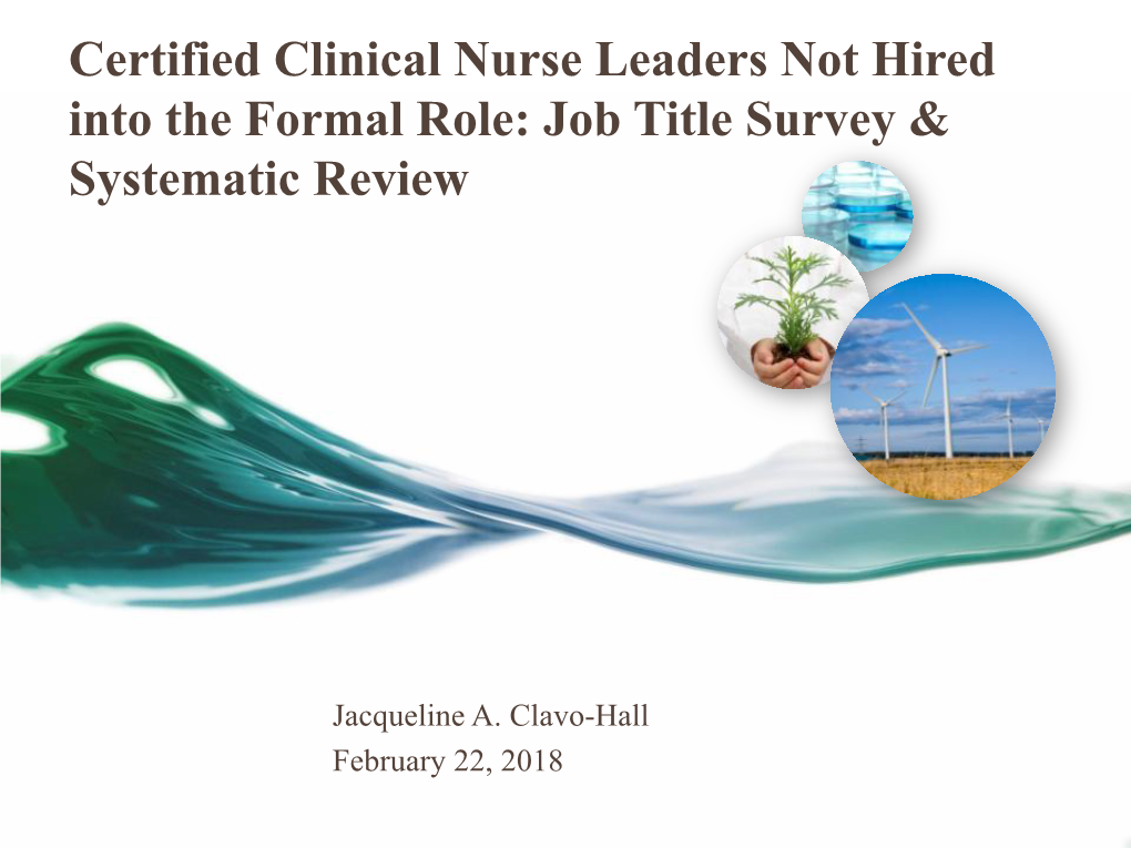 Certified Clinical Nurse Leaders Not Hired Into the Formal Role: Job Title Survey & Systematic Review