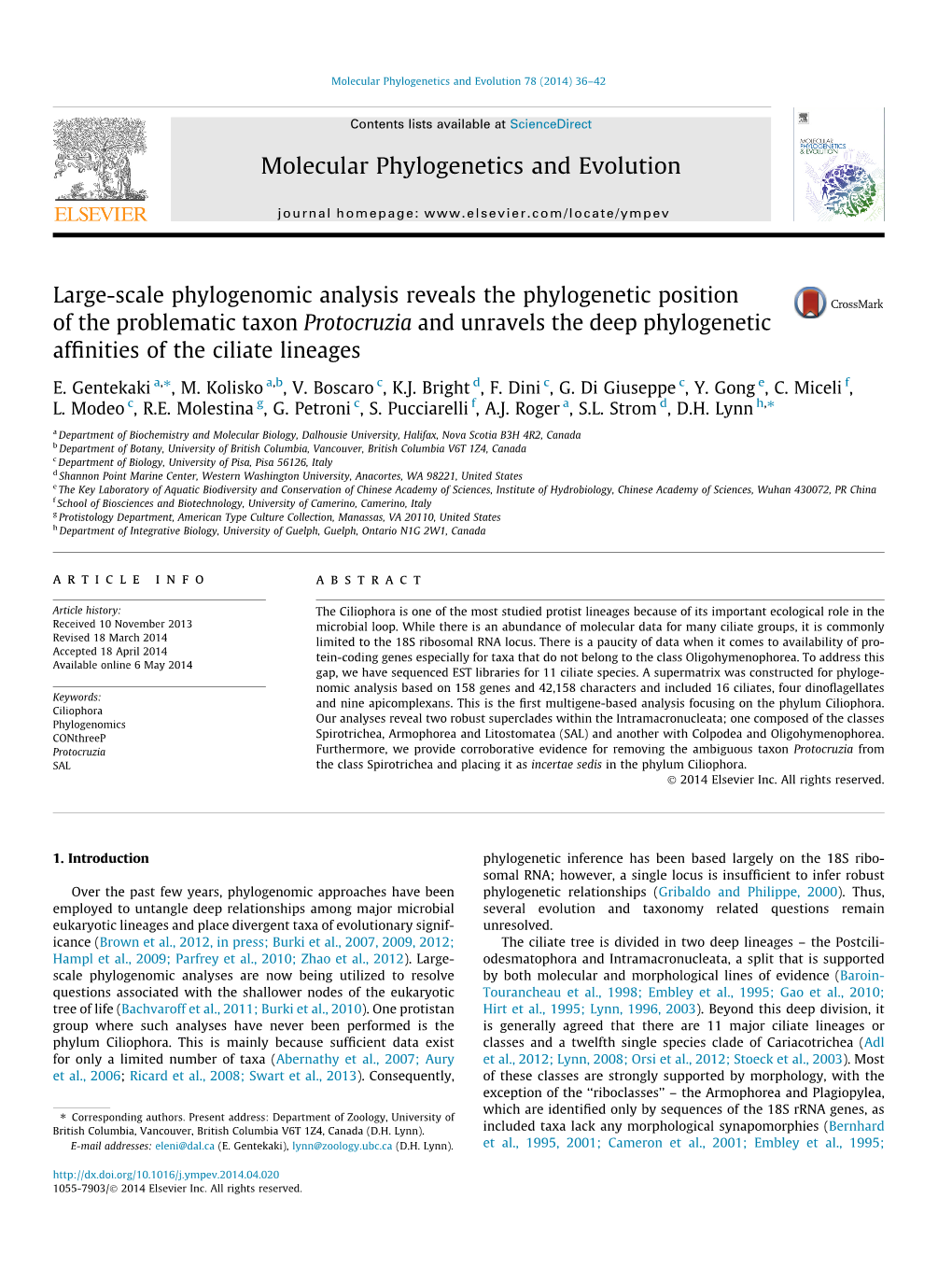 Molecular Phylogenetics and Evolution 78 (2014) 36–42