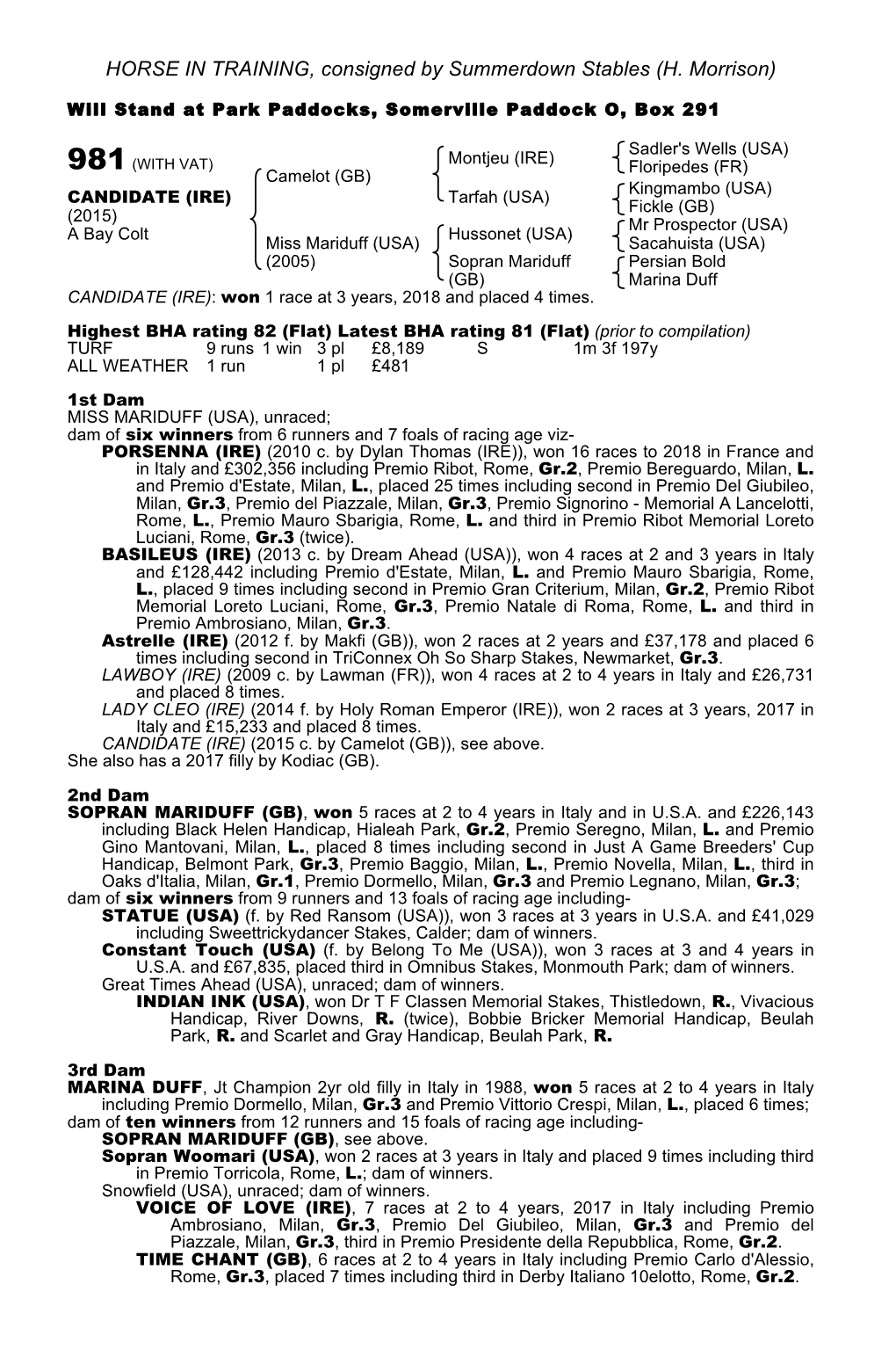 HORSE in TRAINING, Consigned by Summerdown Stables (H
