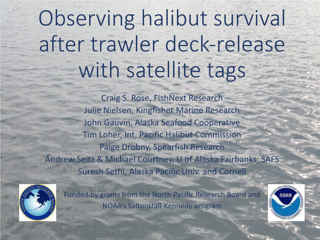 Observing Halibut Survival After Trawler Deck-Release with Satellite Tags