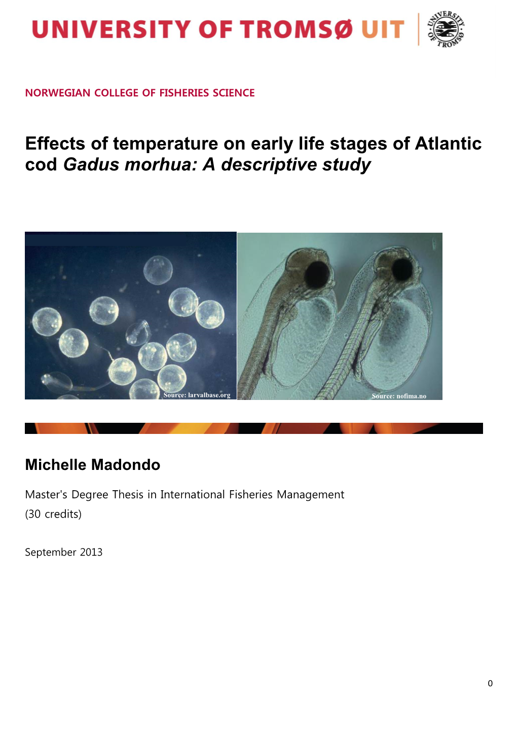 Effects of Temperature on Early Life Stages of Atlantic Cod, Gadus Morhua: a Descriptive Study
