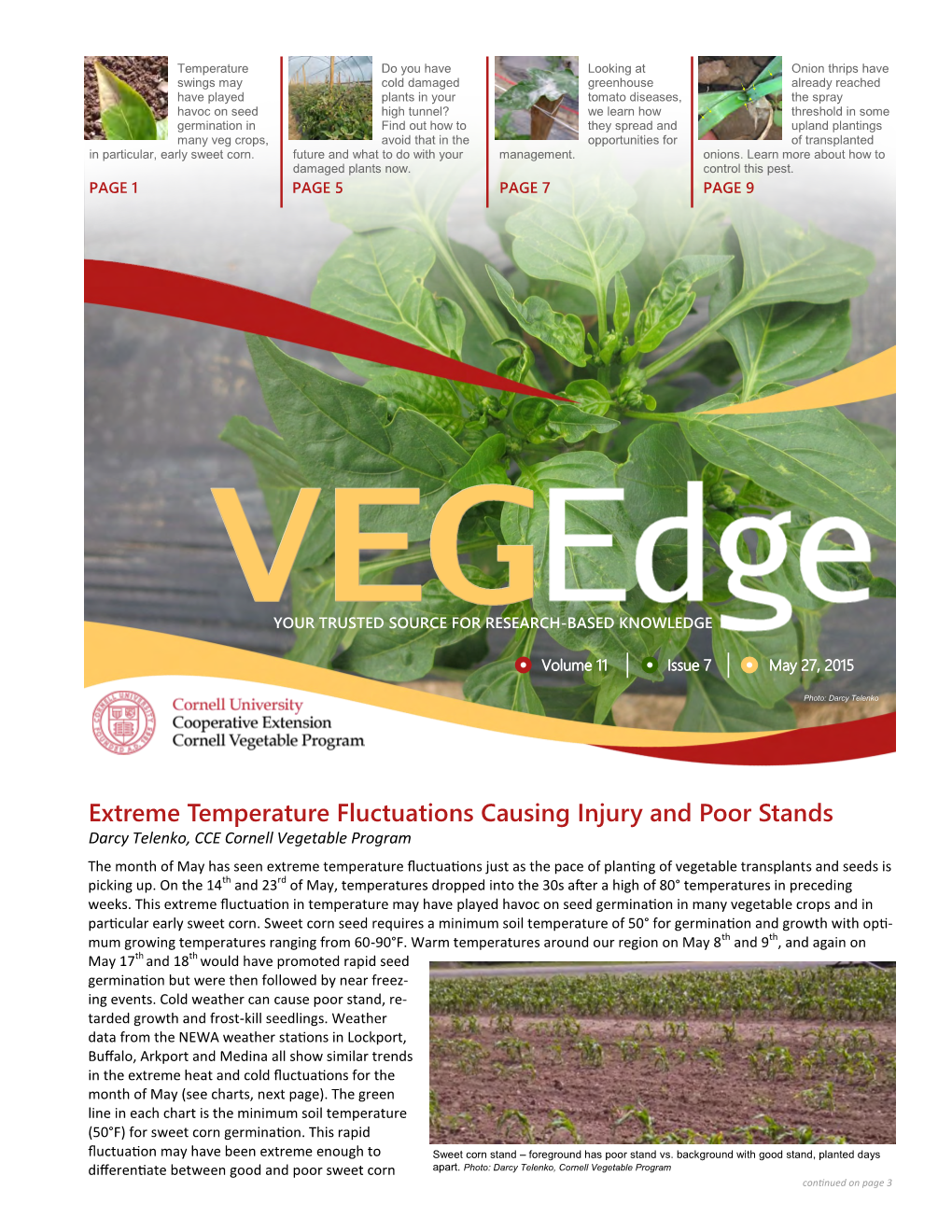 Vegedge Newsletter