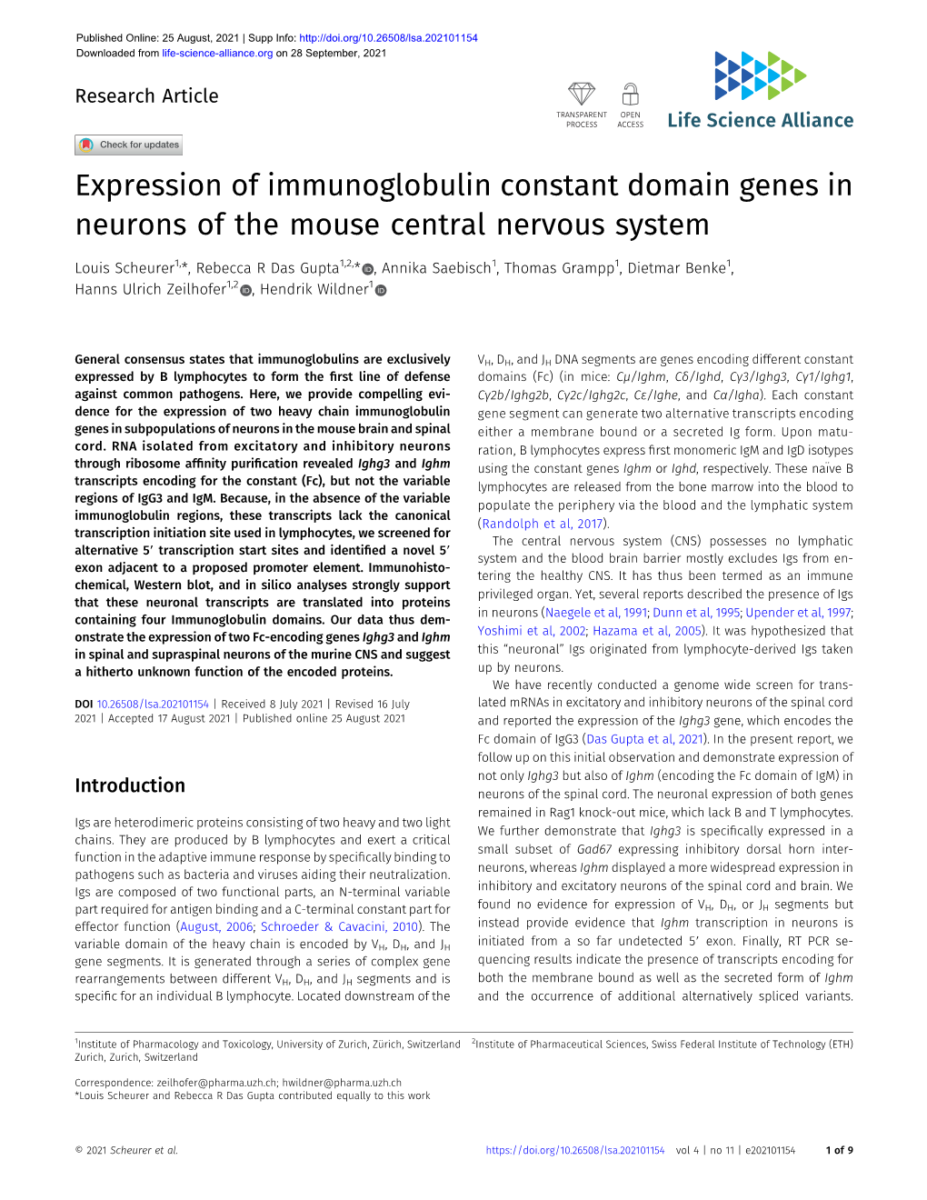 Expression of Immunoglobulin Constant Domain Genes in Neurons of the Mouse Central Nervous System
