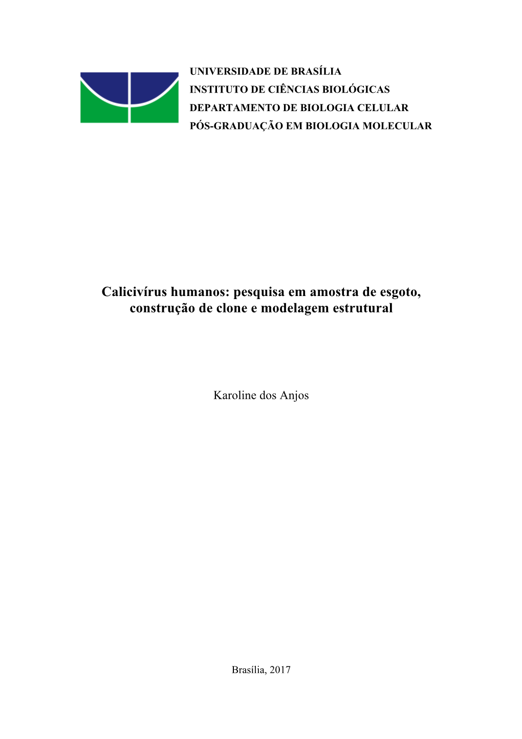 Calicivírus Humanos: Pesquisa Em Amostra De Esgoto, Construção De Clone E Modelagem Estrutural