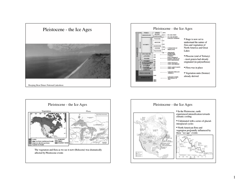 Pleistocene - the Ice Ages Pleistocene - the Ice Ages