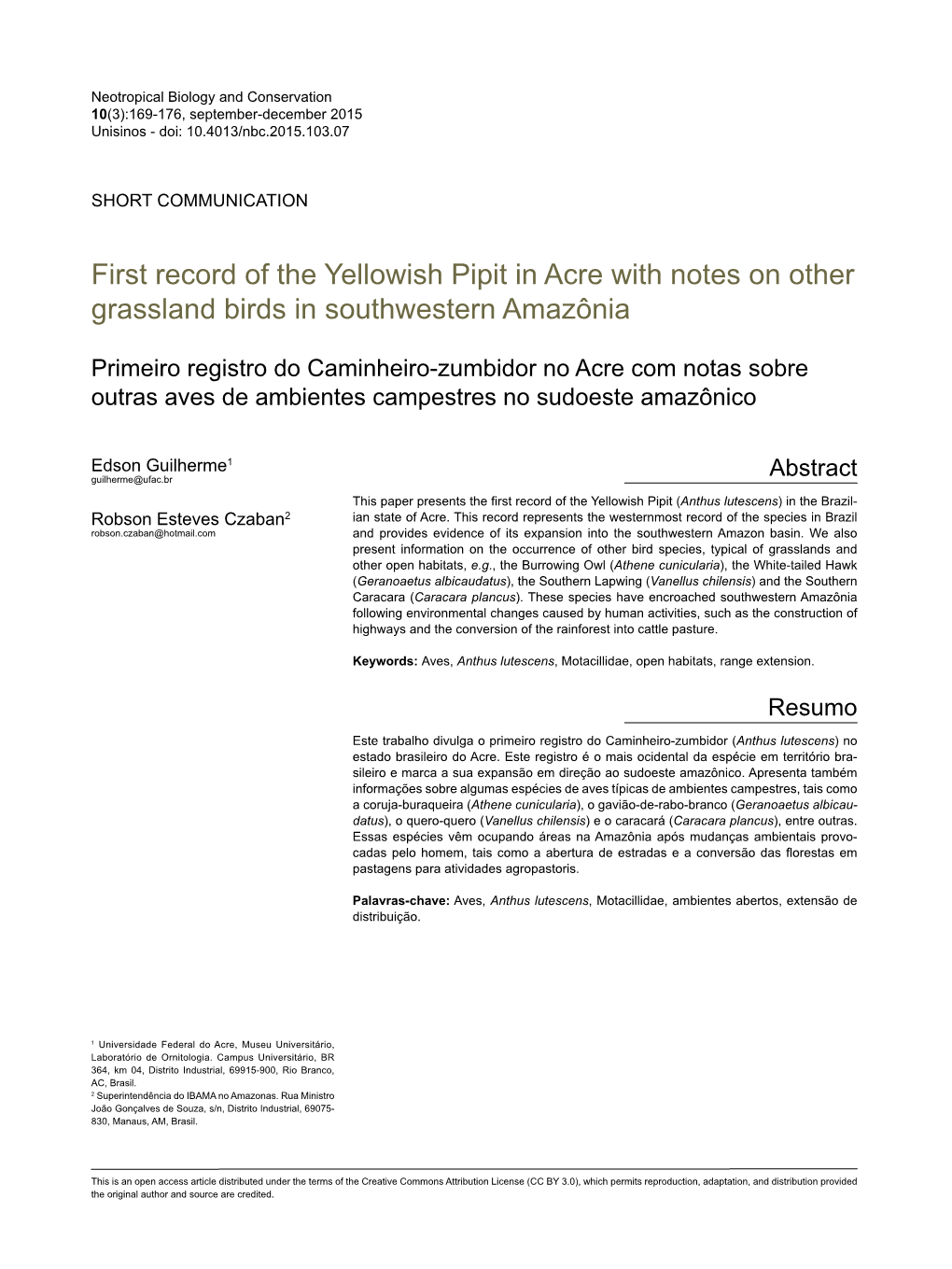 First Record of the Yellowish Pipit in Acre with Notes on Other Grassland Birds in Southwestern Amazônia