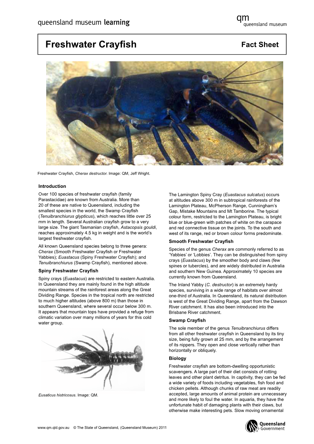 Freshwater Crayfish Fact Sheet