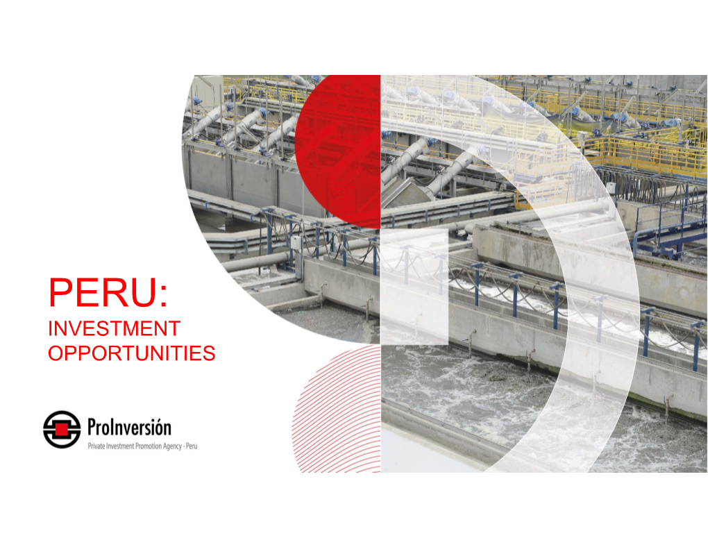 PERU: INVESTMENT OPPORTUNITIES 2 Project Portfolio