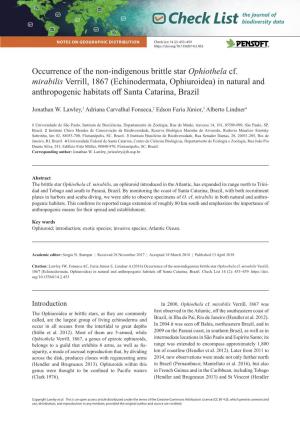 Occurrence of the Non-Indigenous Brittle Star Ophiothela Cf. Mirabilis