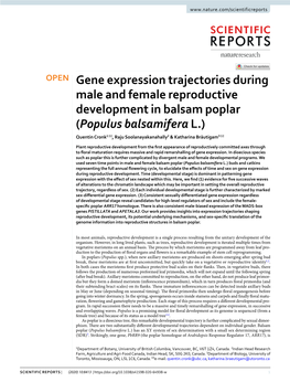 Gene Expression Trajectories During Male and Female Reproductive