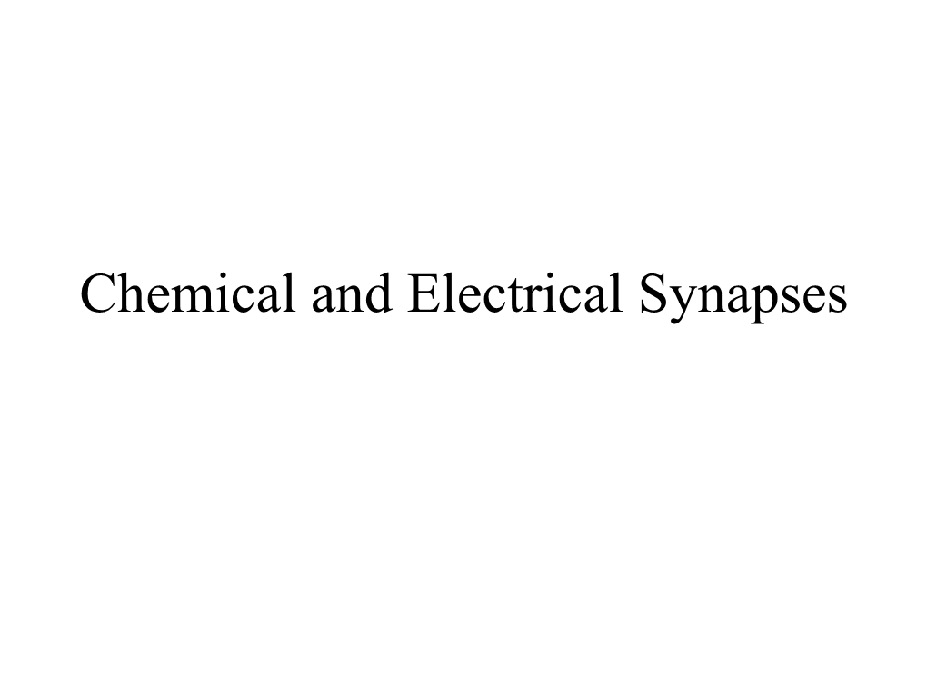 Chemical and Electrical Synapses Two Kinds of Synapses 1