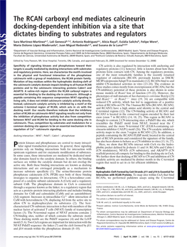 The RCAN Carboxyl End Mediates Calcineurin Docking-Dependent Inhibition Via a Site That Dictates Binding to Substrates and Regulators