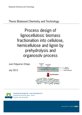 Process Design of Lignocellulosic Biomass Fractionation Into Cellulose, Hemicellulose and Lignin By