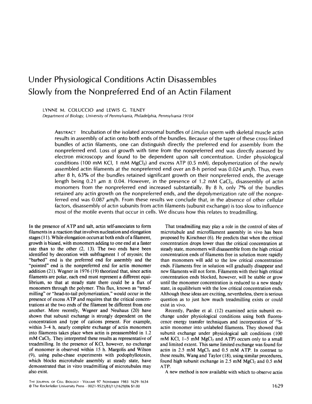 Under Physiological Conditions Actin Disassembles Slowly from the Nonpreferred End of an Actin Filament