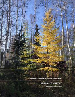 DIVISION of FORESTRY 2020 Annual Report TABLE of CONTENTS