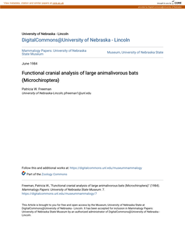 Functional Cranial Analysis of Large Animalivorous Bats (Microchiroptera)