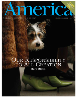OUR RESPONSIBILITY to ALL CREATION Kate Blake of MANY THINGS