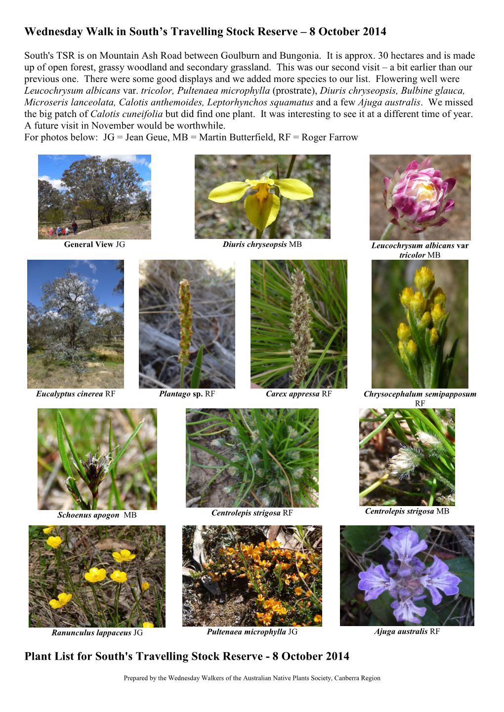 Plant List for South's Travelling Stock Reserve - 8 October 2014