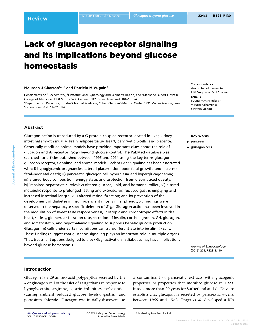 Lack of Glucagon Receptor Signaling and Its Implications Beyond Glucose Homeostasis