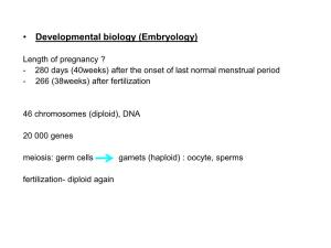 Developmental Biology (Embryology)