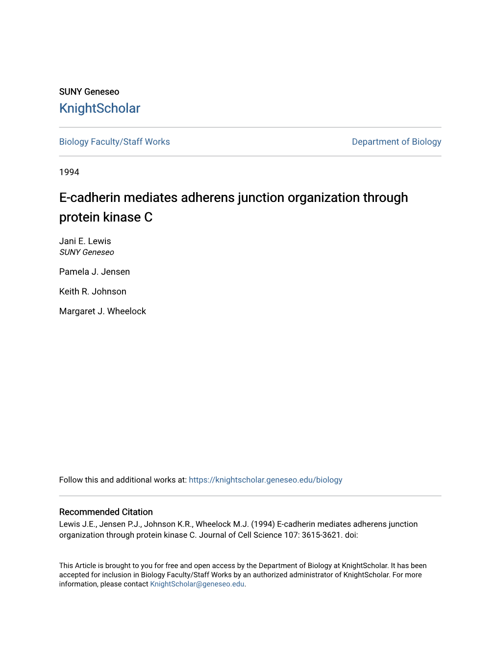 E-Cadherin Mediates Adherens Junction Organization Through Protein Kinase C