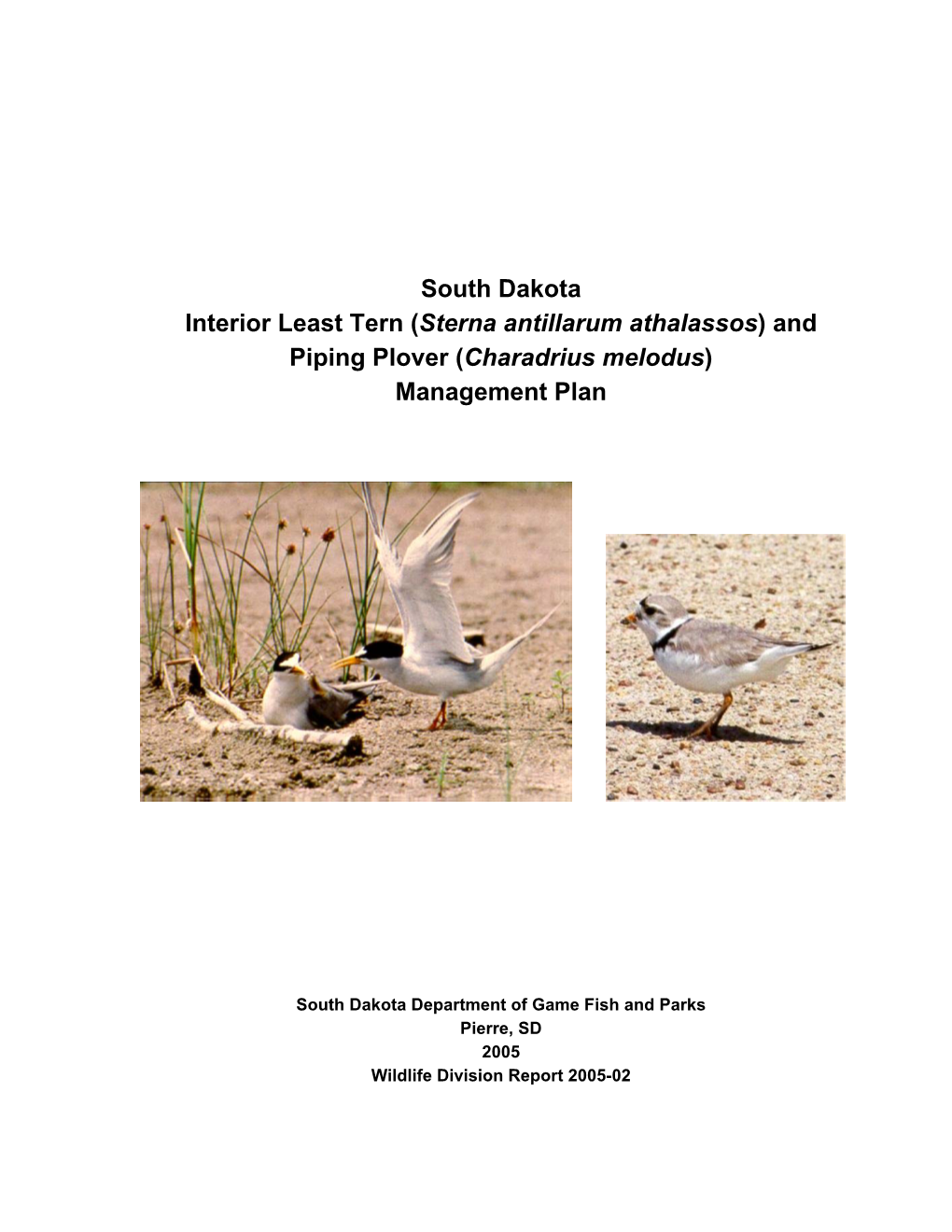 And Piping Plover (Charadrius Melodus) Management Plan