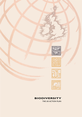 BIODIVERSITY the UK ACTION PLAN This Document Is Printed on Recycled Paper Comprising About 75% Wood-Free Unprinted Waste and 25% Elemental Chlorine Free Pulp
