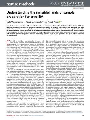 Understanding the Invisible Hands of Sample Preparation for Cryo-EM