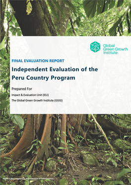 Independent Evaluation of the Peru Country Program