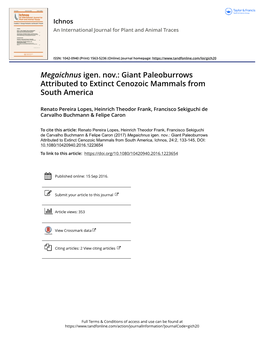 Megaichnus Igen. Nov.: Giant Paleoburrows Attributed to Extinct Cenozoic Mammals from South America