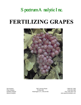 Fertilizing Grapes