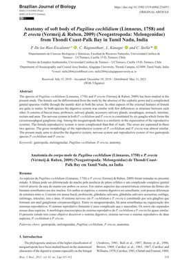 Anatomy of Soft Body of Pugilina Cochlidium (Linnaeus, 1758) and P