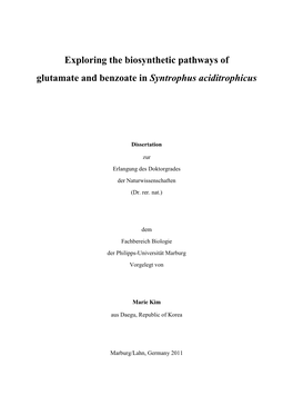 Exploring the Biosynthetic Pathways of Glutamate and Benzoate in Syntrophus Aciditrophicus