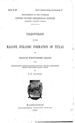 Ialone Jurassic Formation of Texas