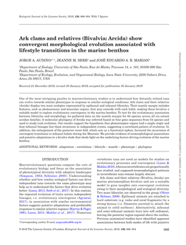 Ark Clams and Relatives (Bivalvia: Arcida) Show Convergent Morphological Evolution Associated With