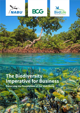 The Biodiversity Imperative for Business Preserving the Foundations of Our Well-Being