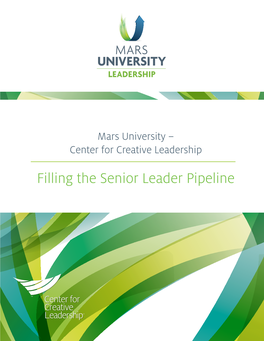 Filling the Senior Leader Pipeline MARS | CCL 2 ACCELERATED LEADERSHIP PROGRAM