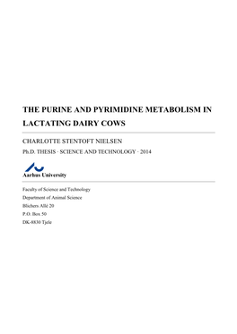 The Purine and Pyrimidine Metabolism in Lactating Dairy Cows