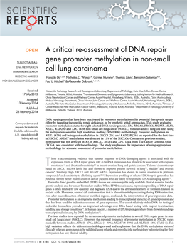 A Critical Re-Assessment of DNA Repair Gene Promoter Methylation in Non-Small Cell Lung Carcinoma