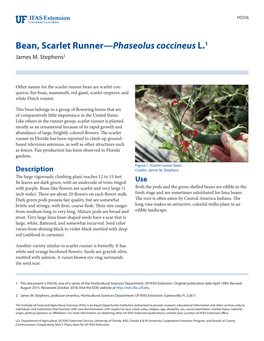Bean, Scarlet Runner—Phaseolus Coccineus L.1 James M