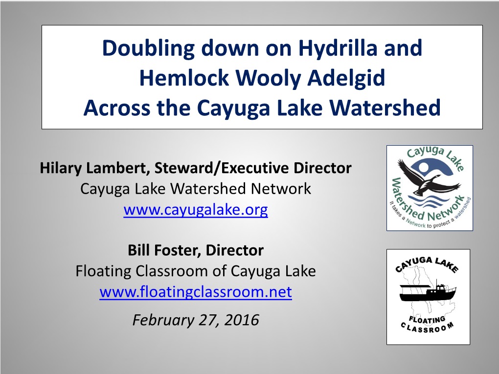 Doubling Down on Hydrilla and Hemlock Wooly Adelgid Across the Cayuga Lake Watershed