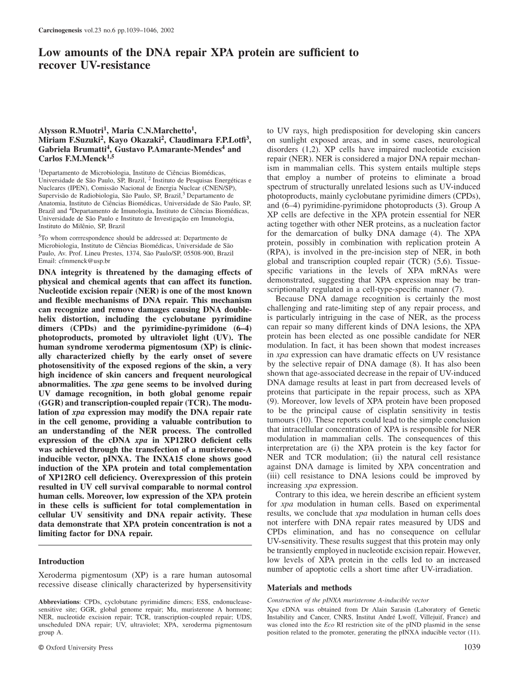 Low Amounts of the DNA Repair XPA Protein Are Sufficient to Recover UV